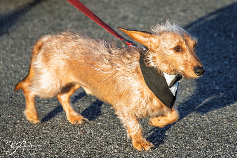 20260206-Mardi Gras Kids -26.jpg