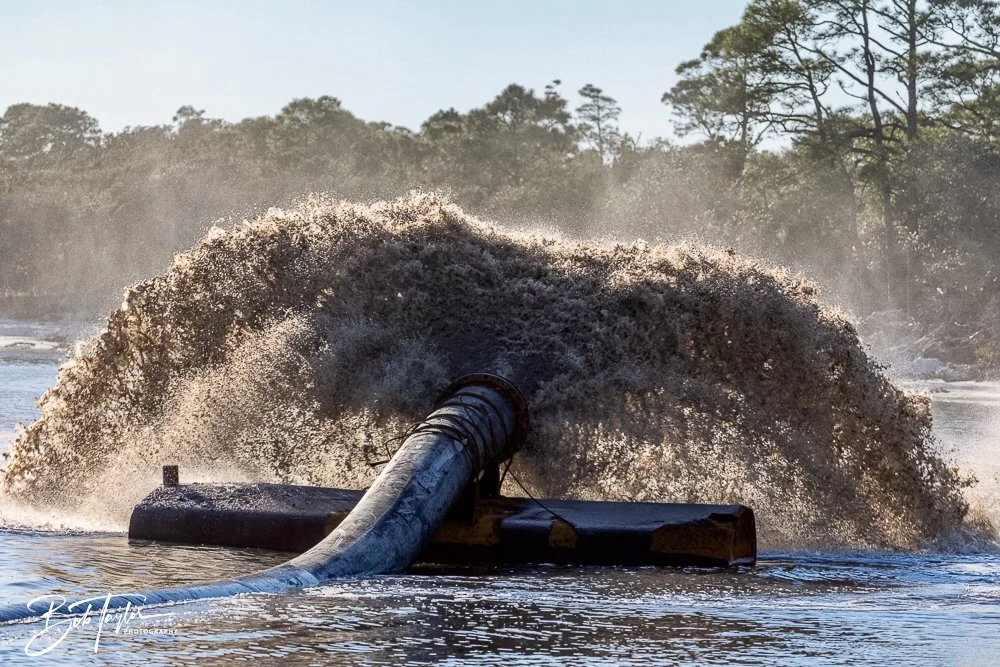 20241201-SASP -1640.jpg