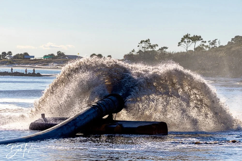 20241201-SASP -1635.jpg