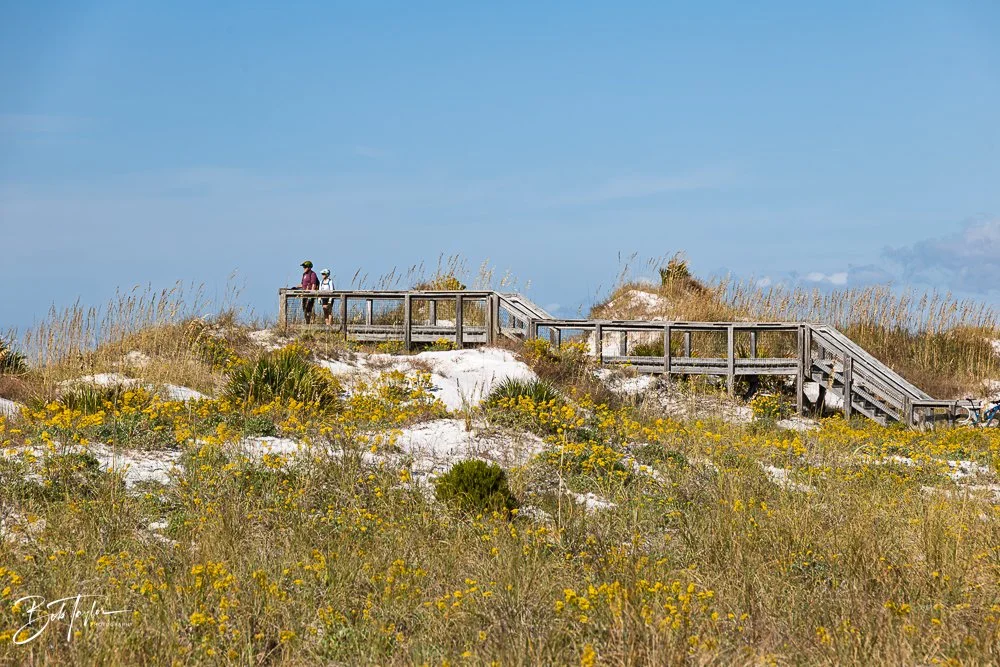 20251116-SASP One Day -36.jpg