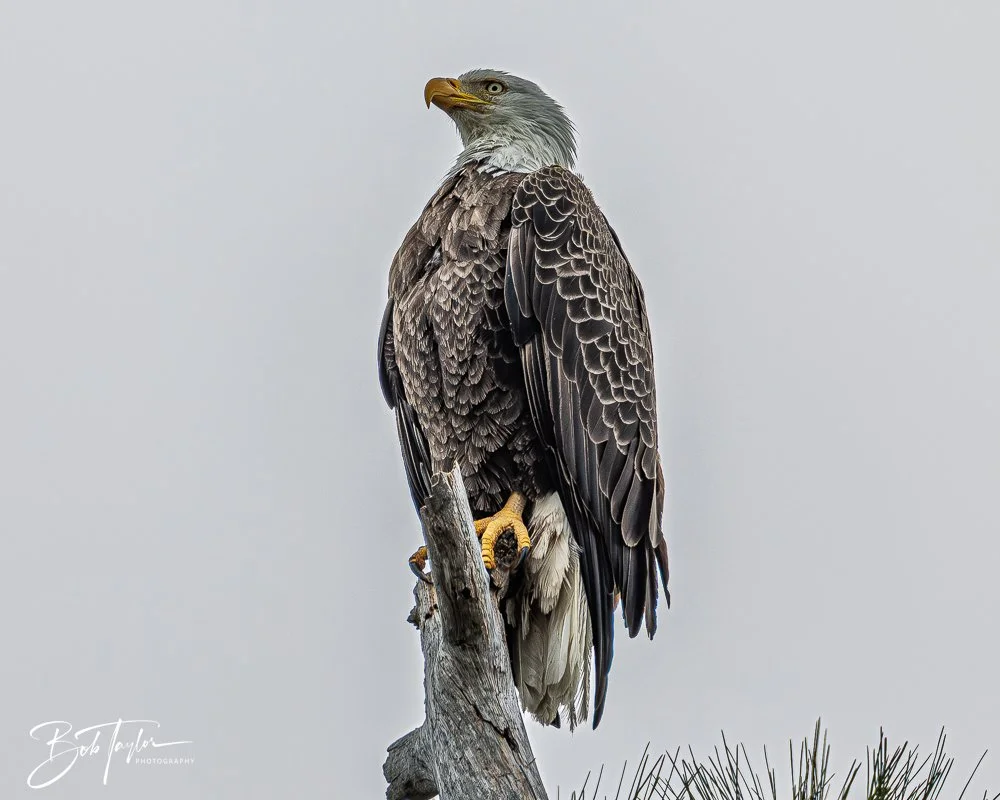 20260214-SASP -23.jpg