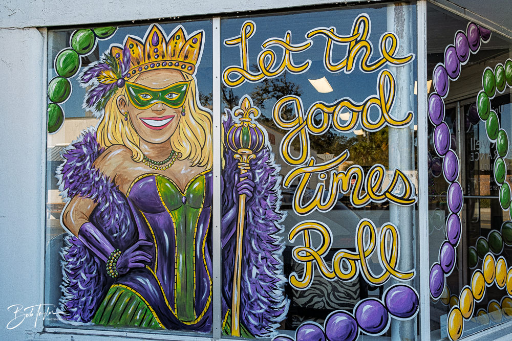 20260115-Mardi Gras Windows -46.png