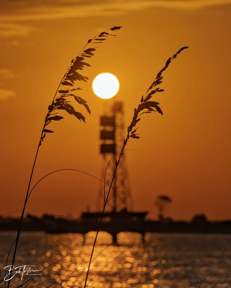 20251117-SASP Sunrise -21.jpg