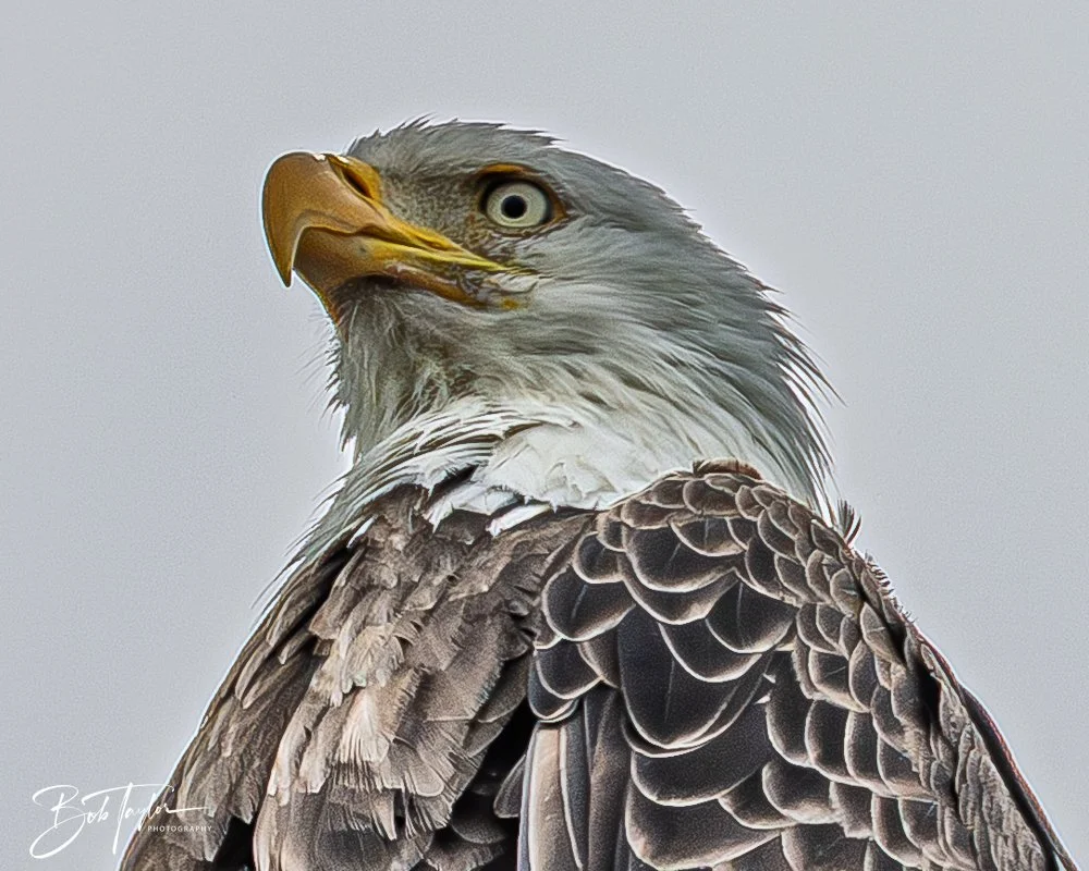 20260214-SASP -25.jpg