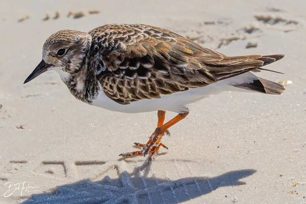 20251116-SASP One Day -27.jpg