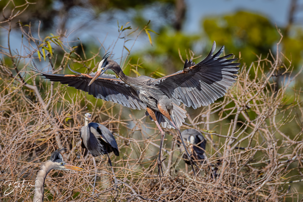 20260101-SASP -19.png