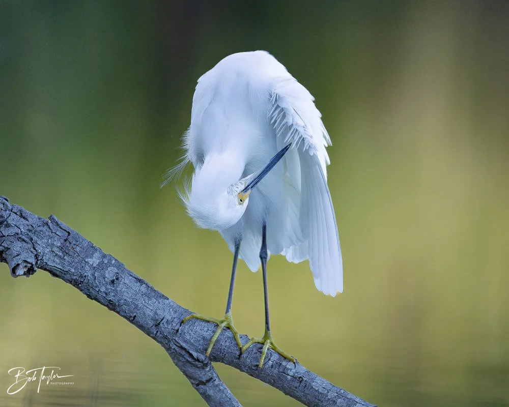 20251115-SASP Final -10.jpg