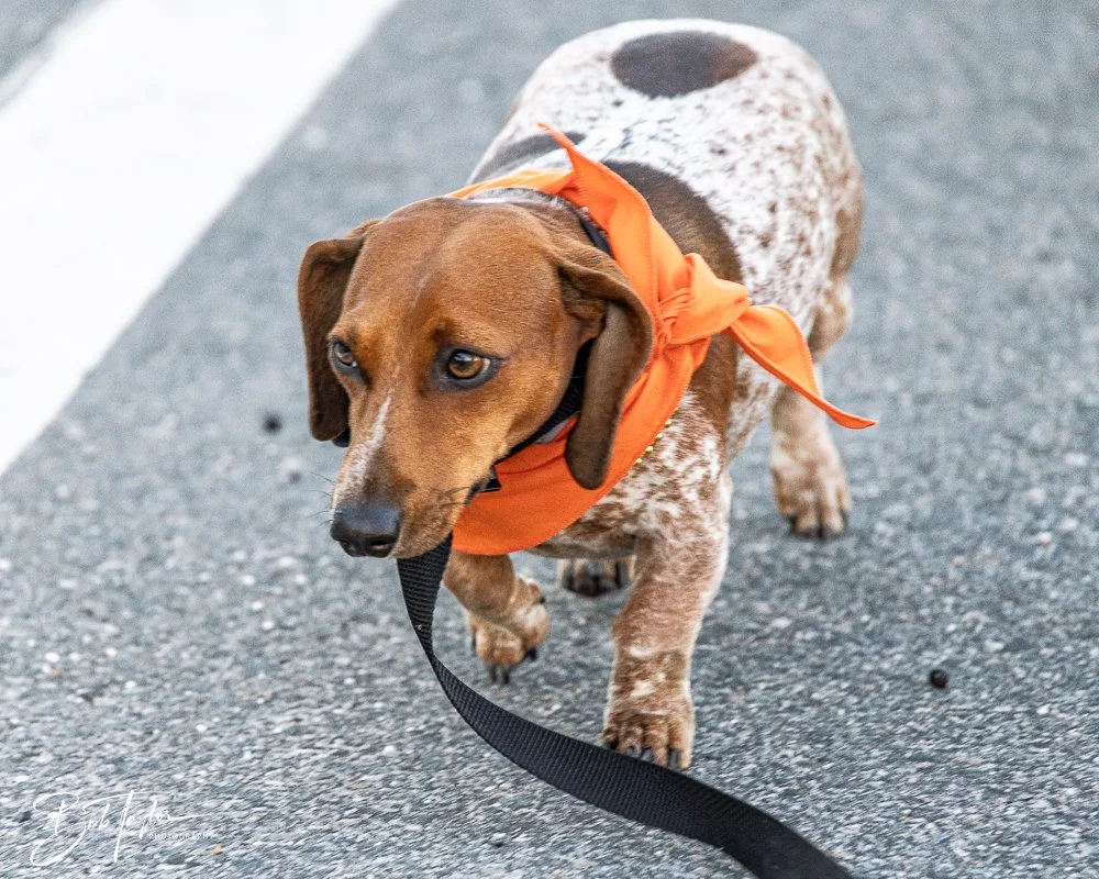 20260206-Mardi Gras Kids -37.jpg