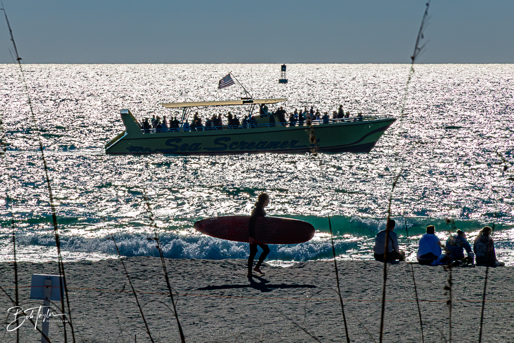 20260101-SASP -4.png