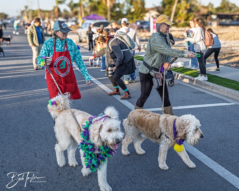 20260206-Mardi Gras Kids -27.jpg