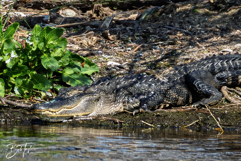 20260212-SASP -7.jpg