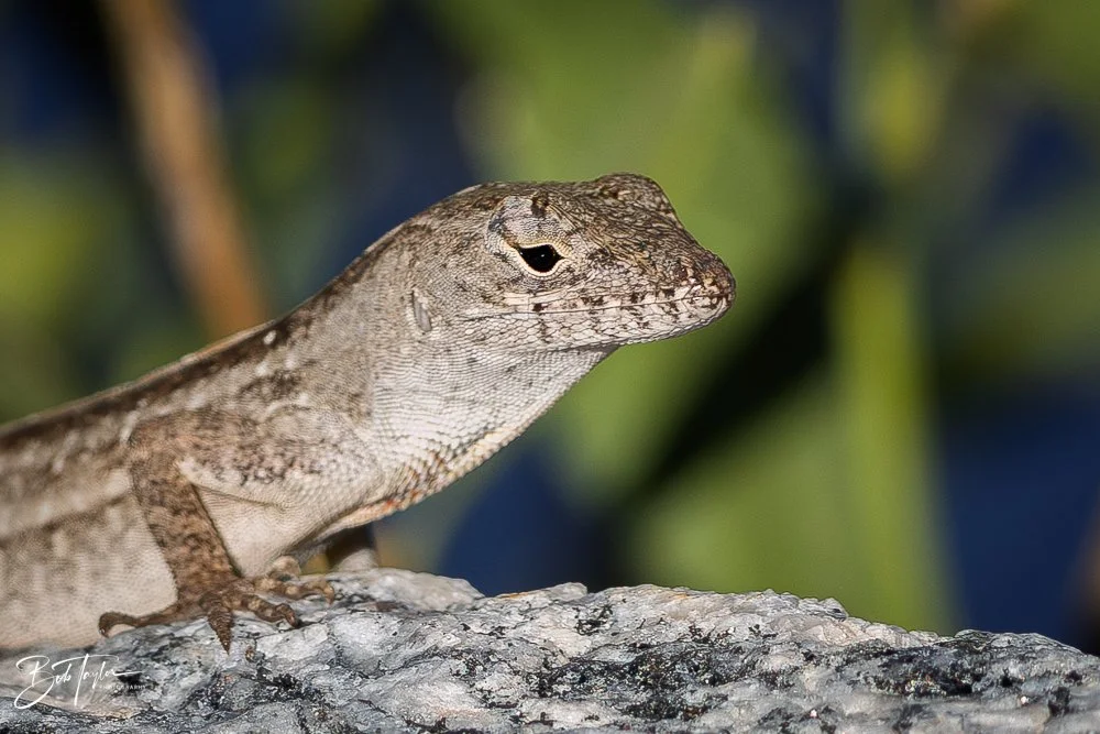 20251115-SASP Final -1.jpg