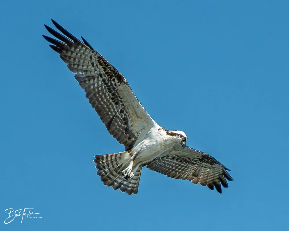 20251119-SASP Final -80.jpg