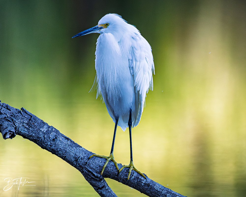 20251115-SASP Final -12.jpg