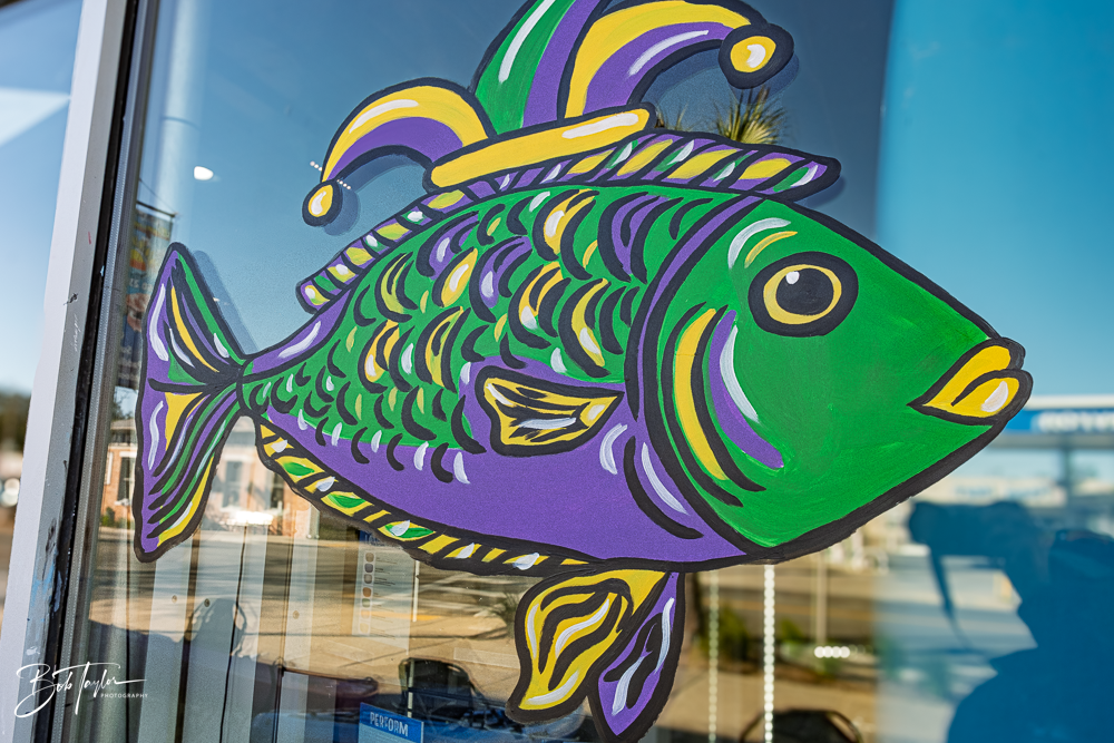 20260115-Mardi Gras Windows -102.png