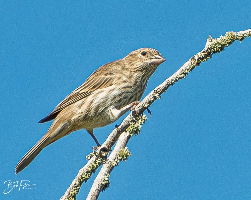 20251119-SASP Final -82.jpg