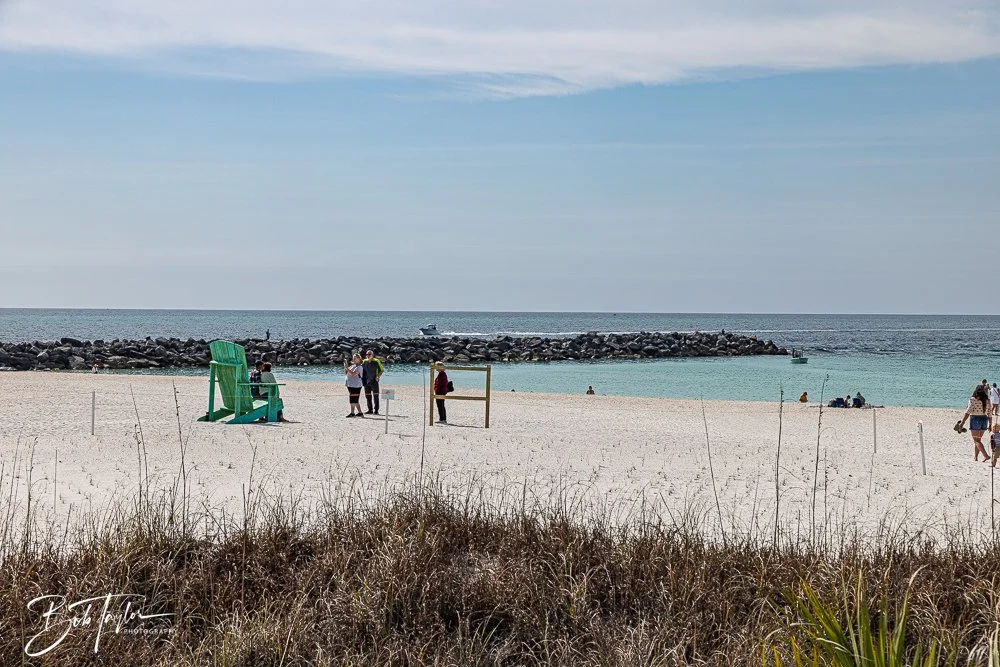 20260214-SASP Story -27.jpg