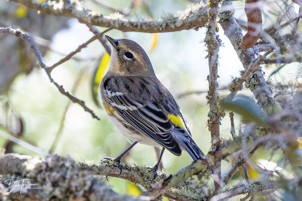 20251116-SASP One Day -50.jpg