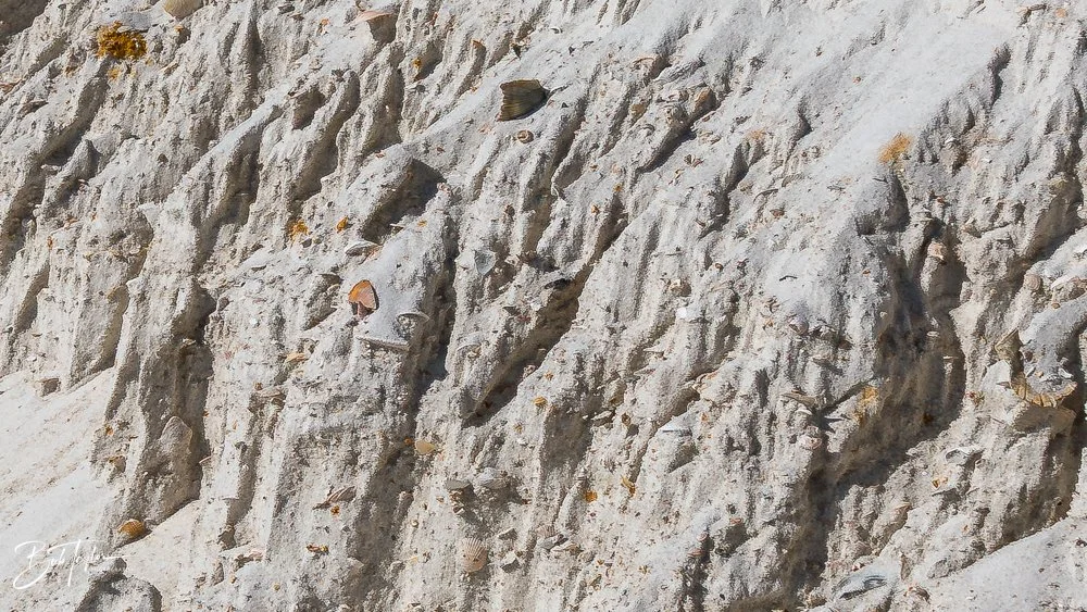 20251116-SASP One Day -17.jpg