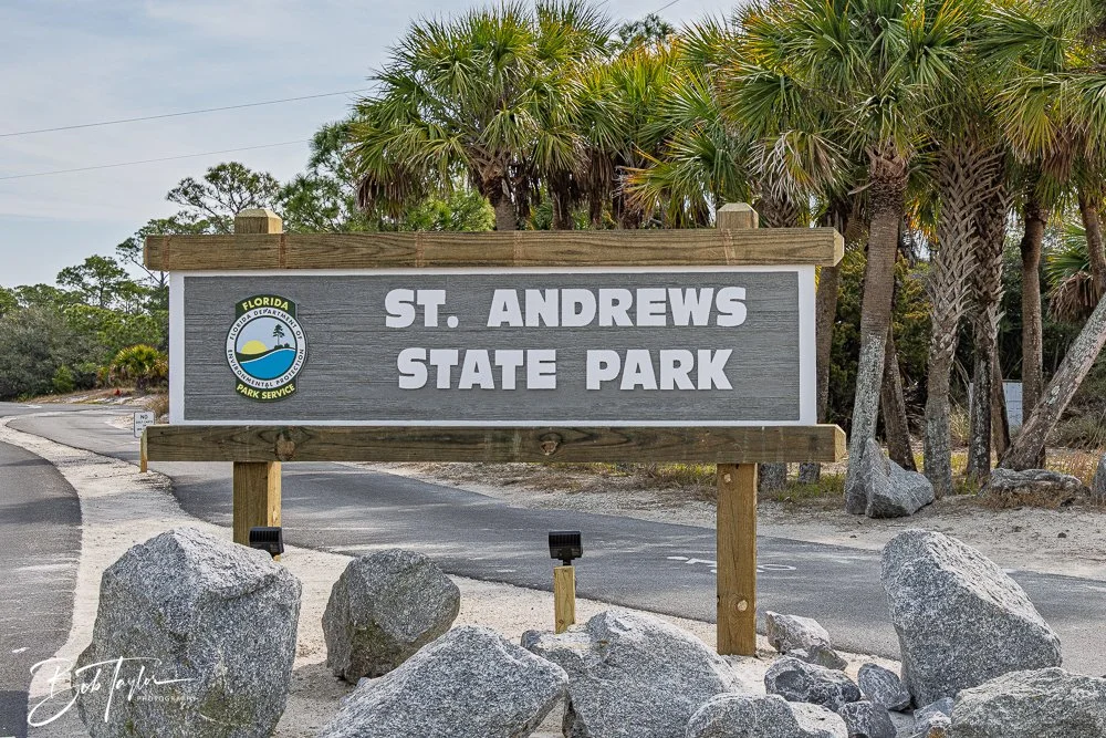 20260214-SASP Story -2.jpg