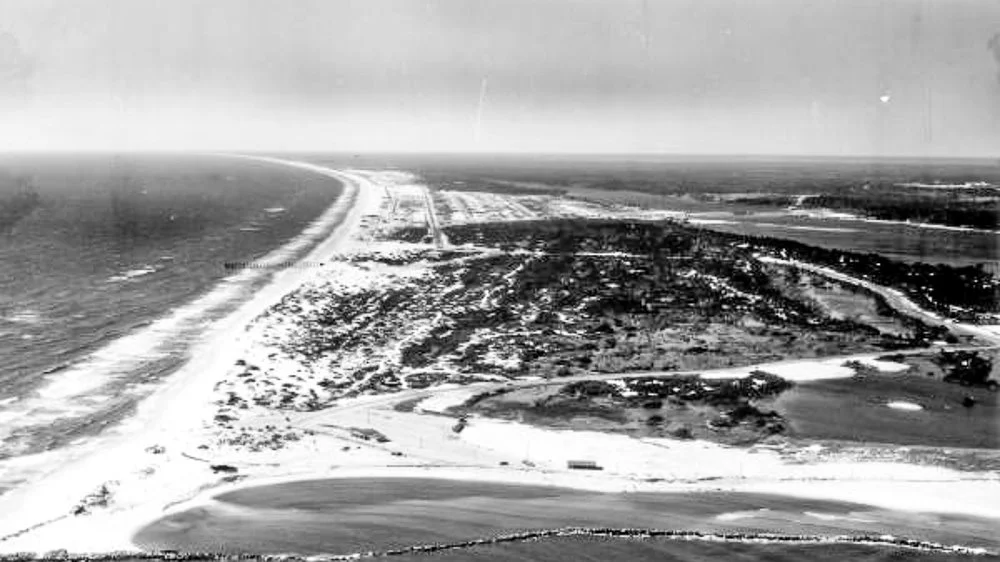 20260214-SASP Google Pics -2.jpg