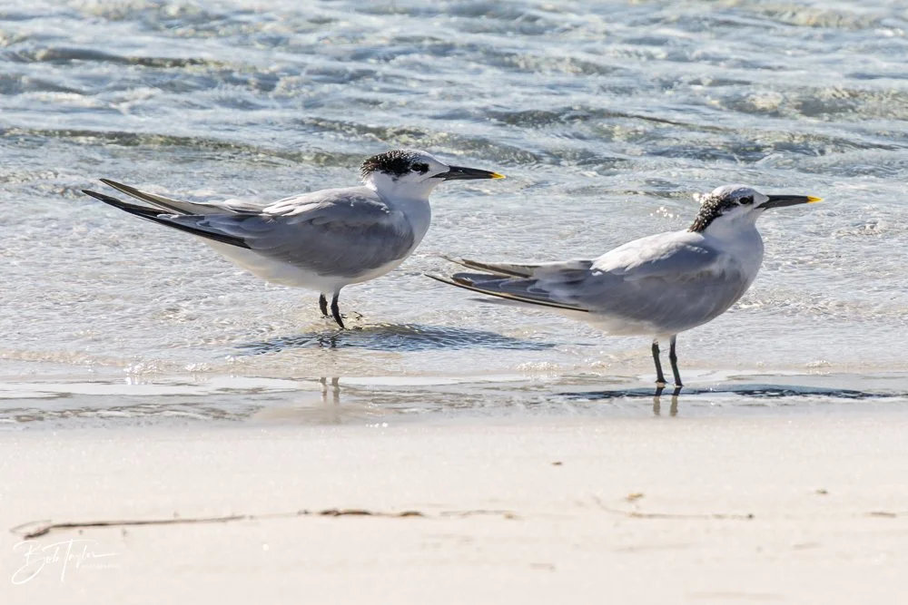 20251116-SASP One Day -22.jpg