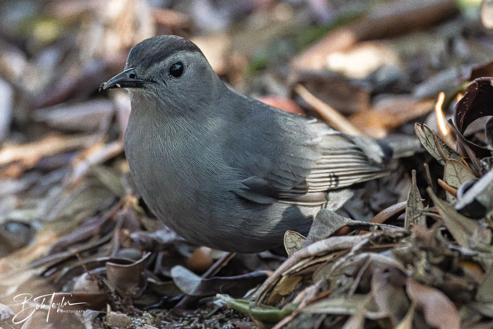 20260212-SASP -9.jpg