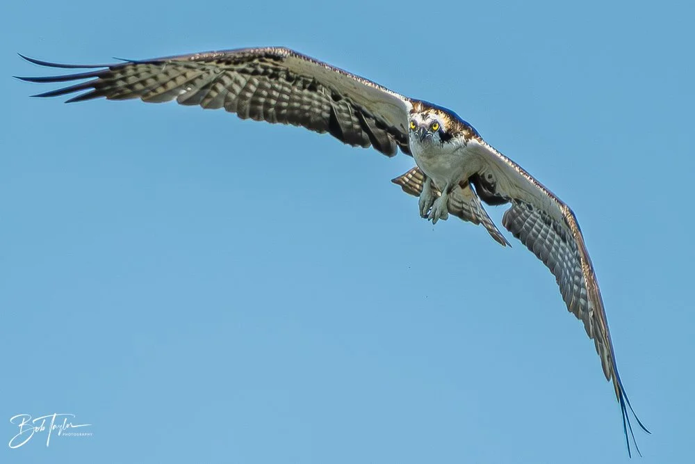 20251119-SASP Final -79.jpg