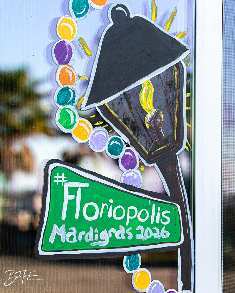 20260115-Mardi Gras Windows -38.png