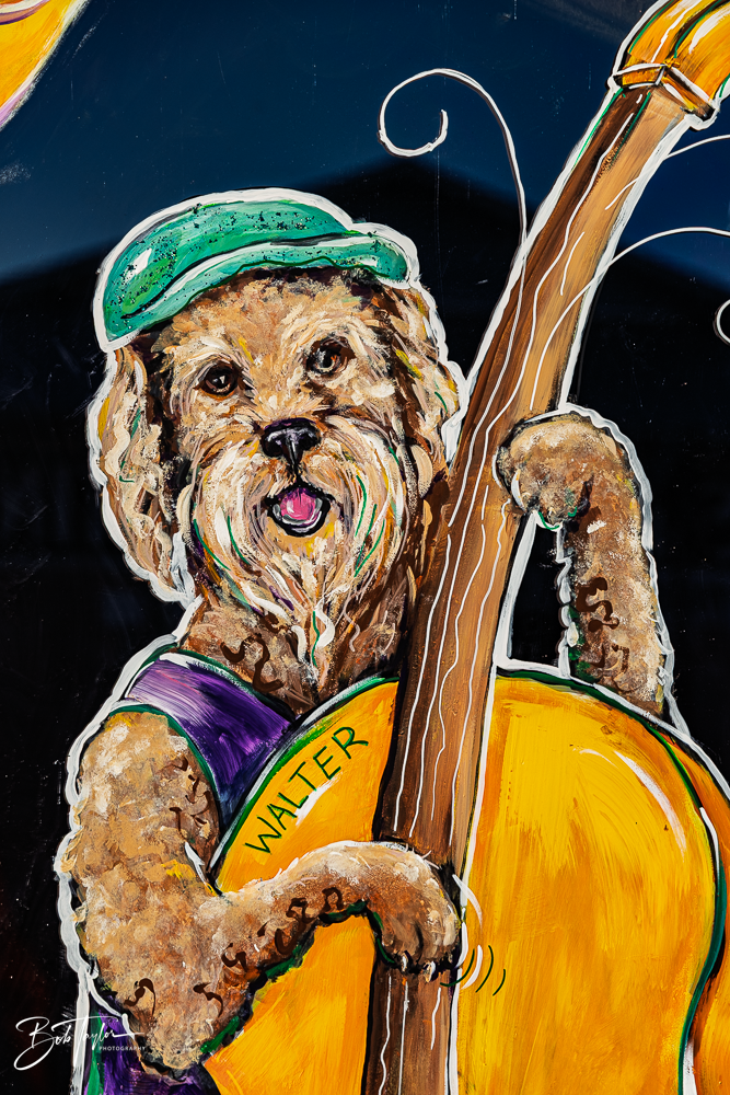 20260115-Mardi Gras Windows -30.png