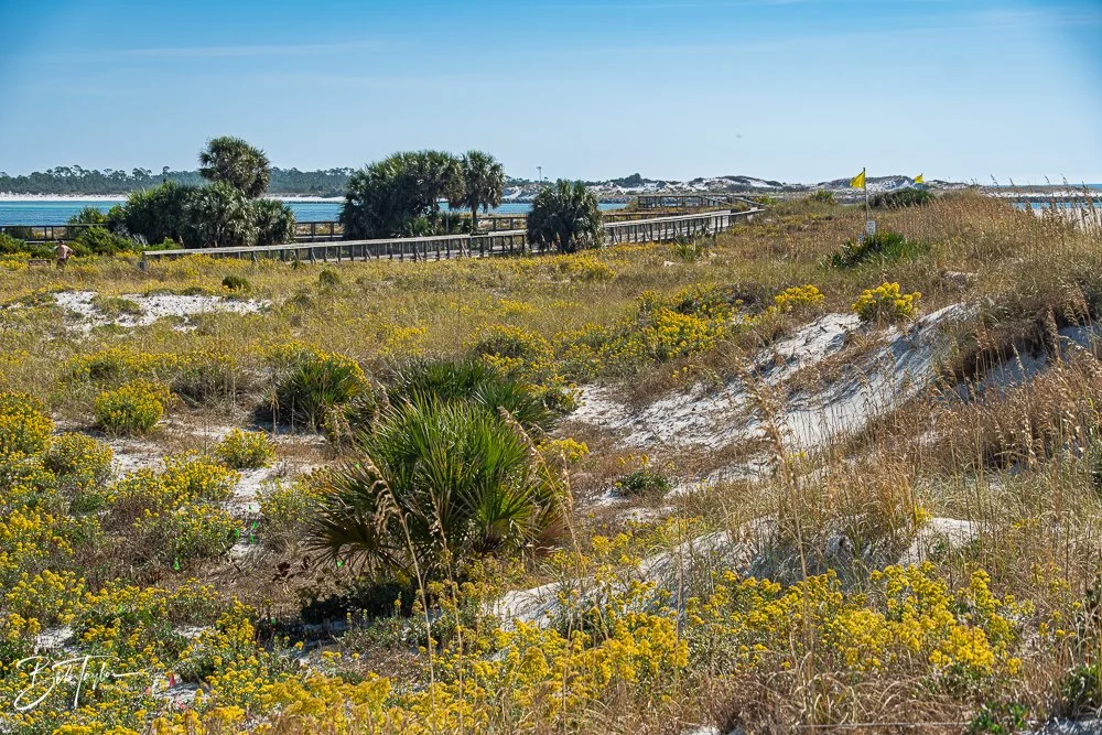 20251119-SASP Final -66.jpg