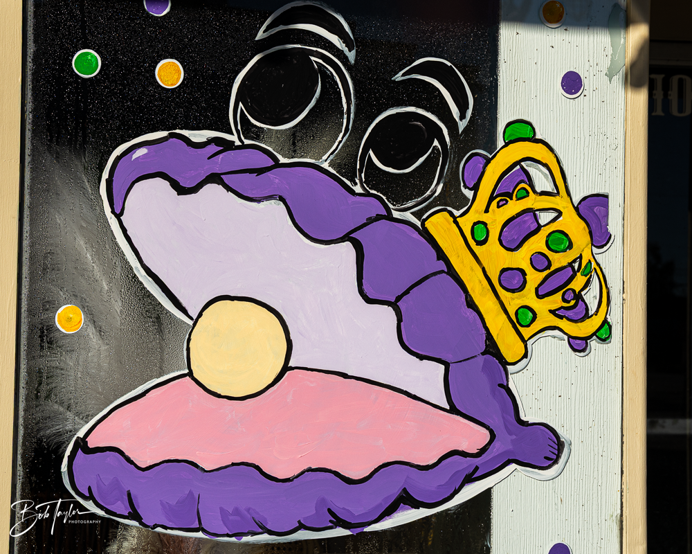20260115-Mardi Gras Windows -60.png