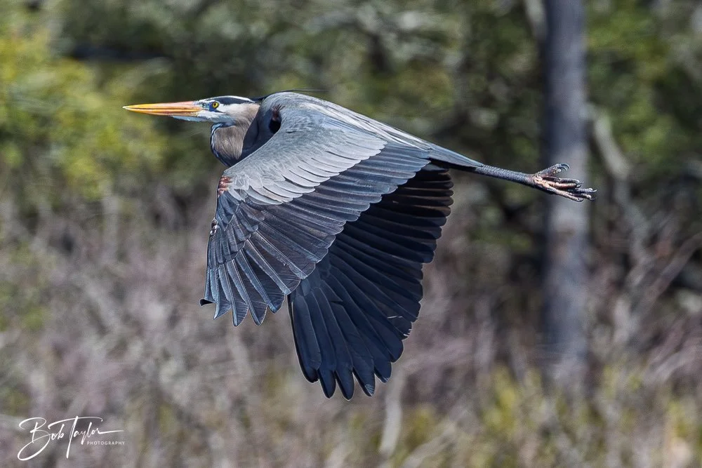 20260212-SASP -16.jpg