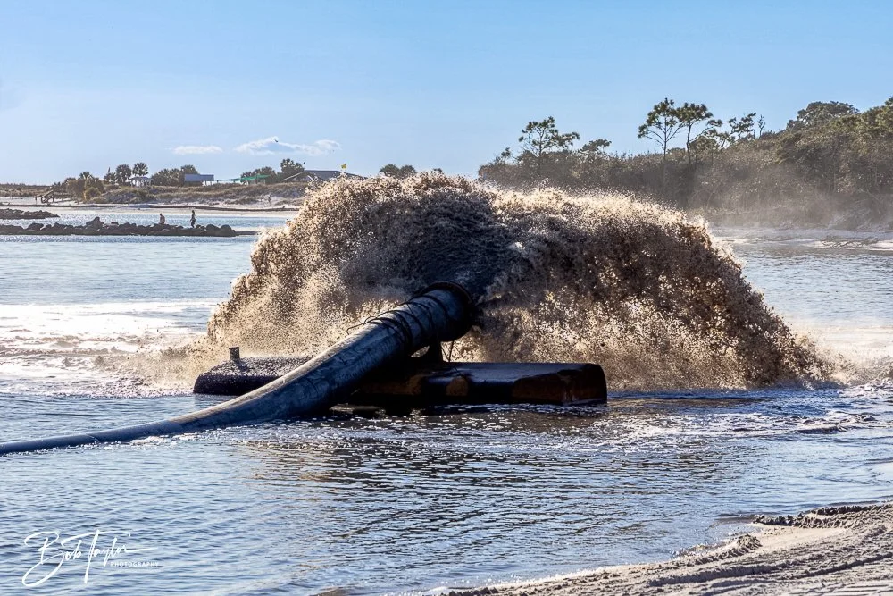 20241201-SASP -1638.jpg