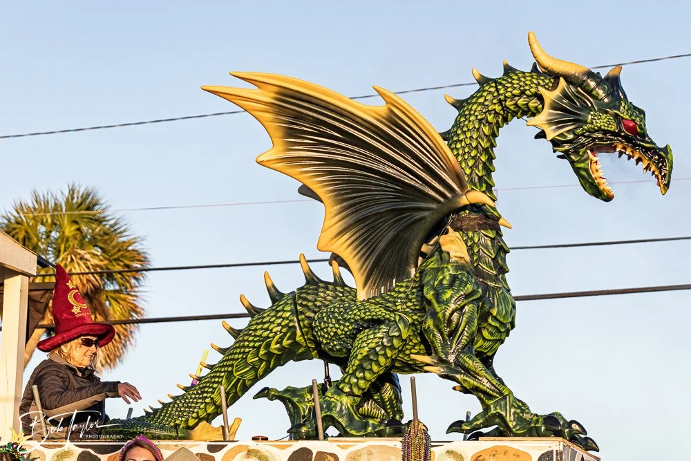 20260206-Mardi Gras Kids -64.jpg