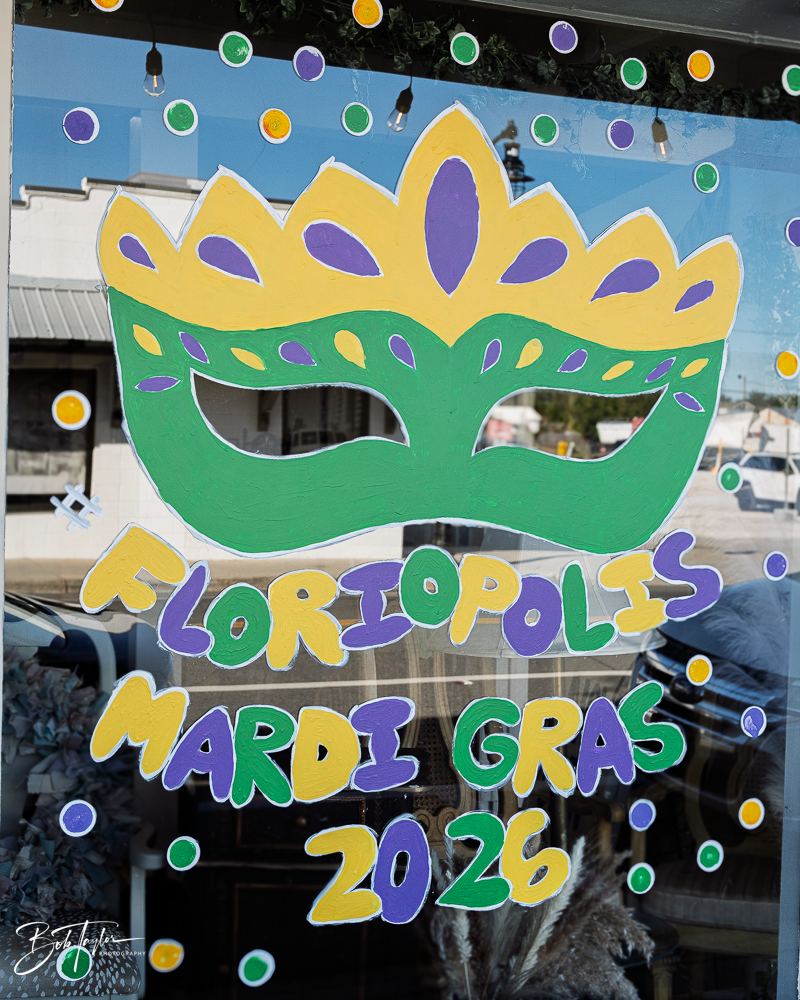 20260115-Mardi Gras Windows 2 -1.png