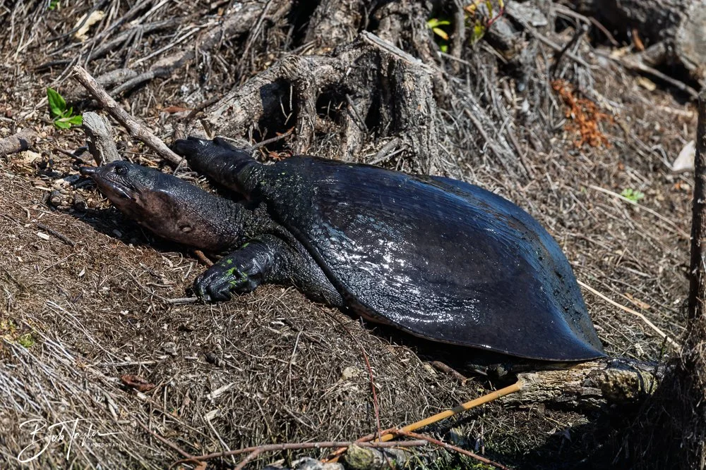 20260212-SASP -15.jpg