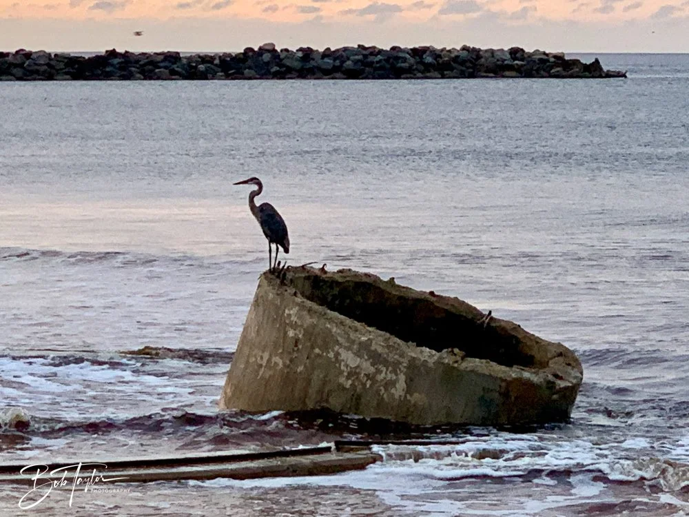 20200919-SASP -188.jpg