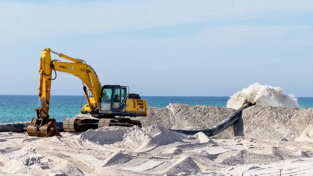 20250130-SASP -1829.jpg