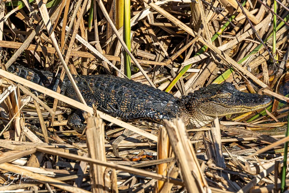 20251116-SASP One Day -48.jpg