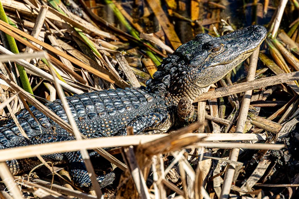 20251116-SASP One Day -46.jpg