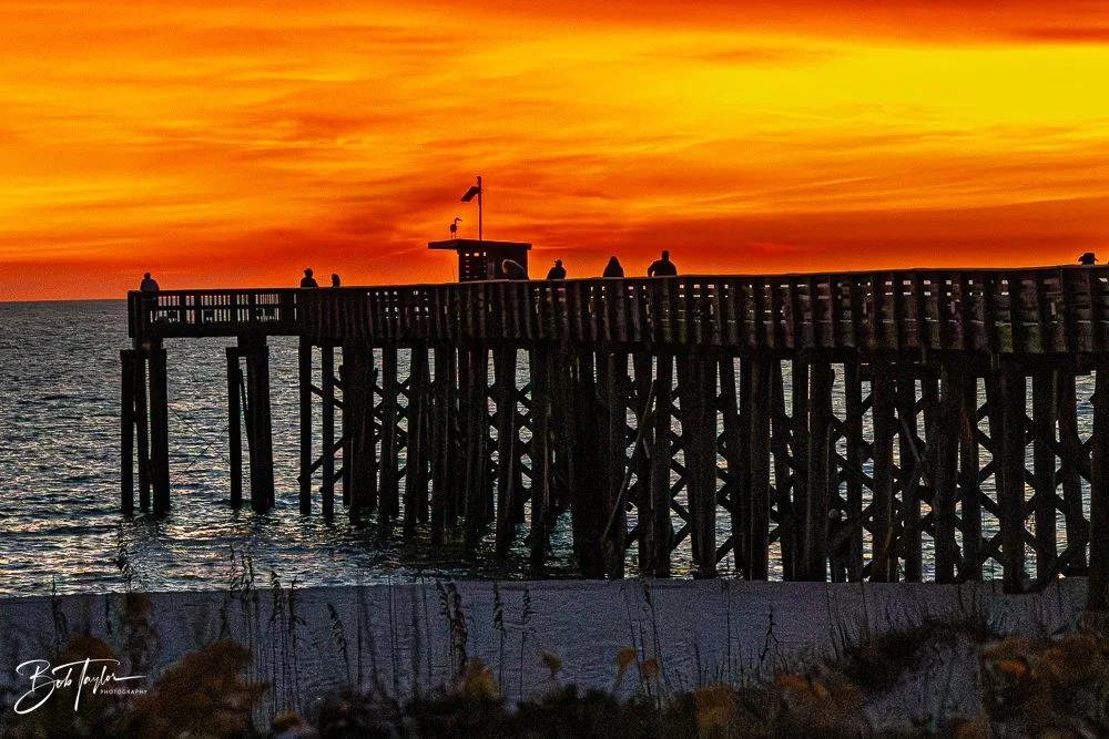 20251119-SASP Sunset -36.jpg