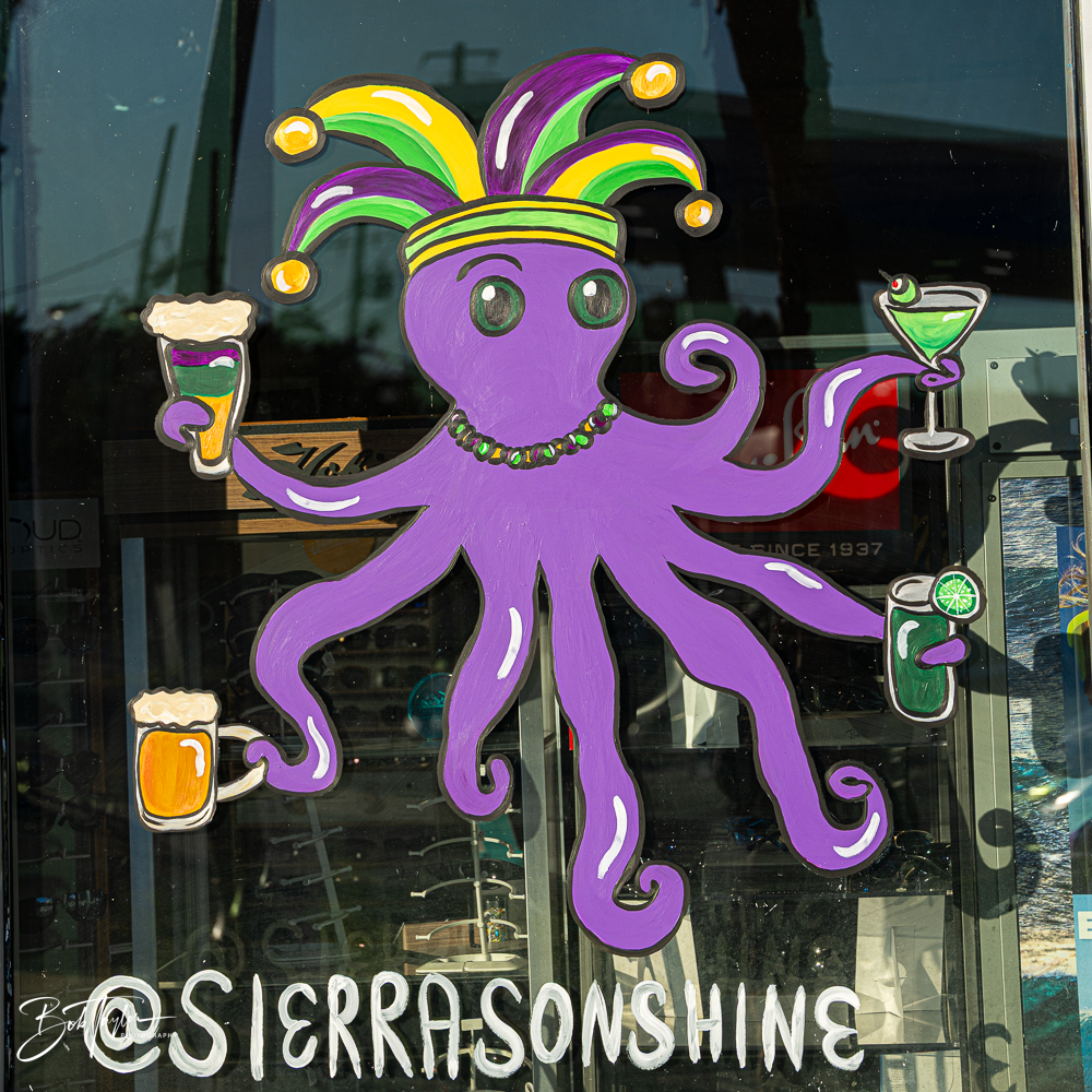 20260115-Mardi Gras Windows -20.png