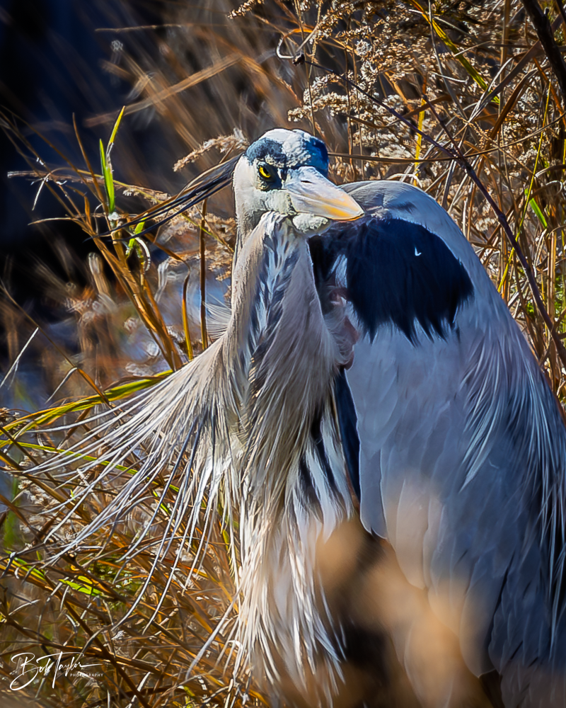 20260101-SASP -7.png