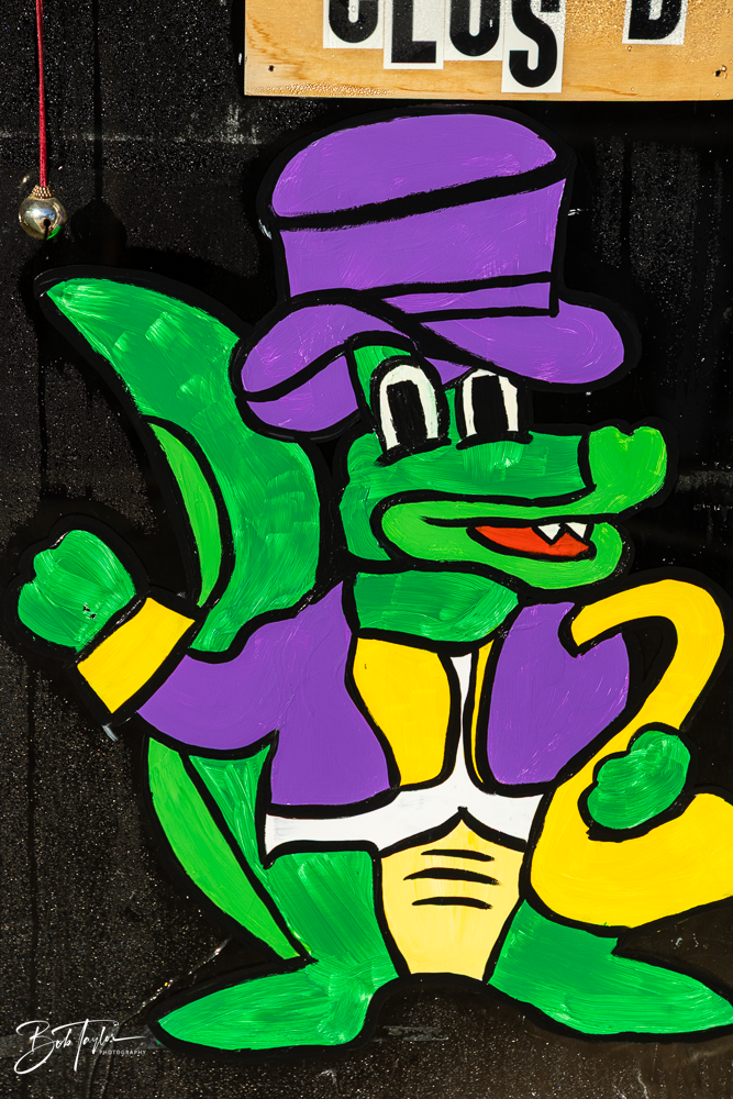 20260115-Mardi Gras Windows -59.png