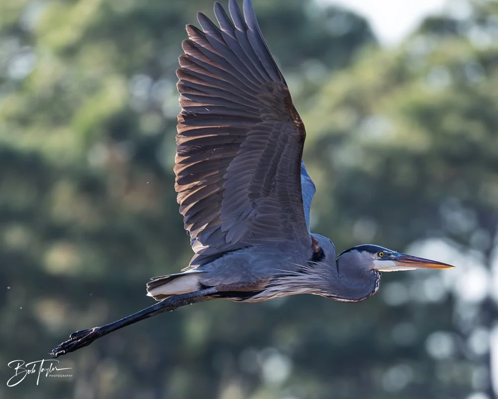 20251115-SASP Final -25.jpg