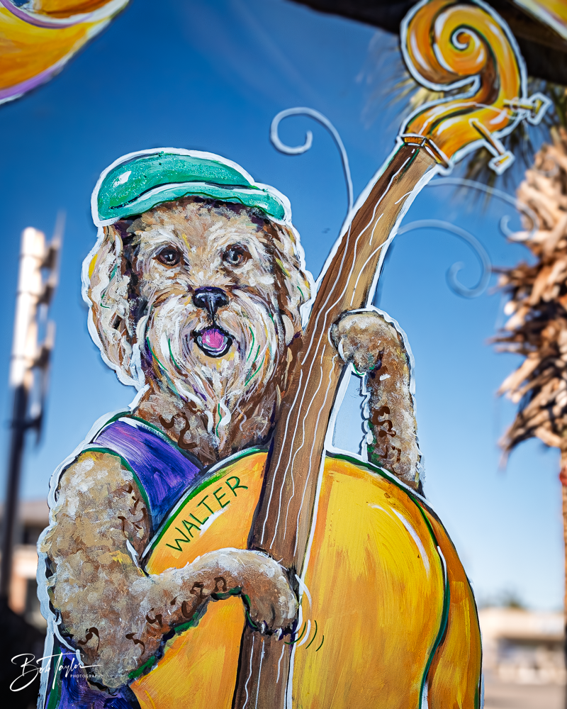 20260115-Mardi Gras Windows -99.png