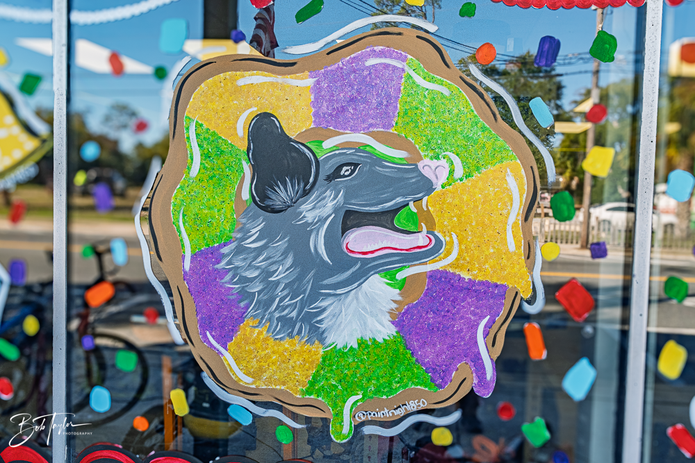 20260115-Mardi Gras Windows -55.png