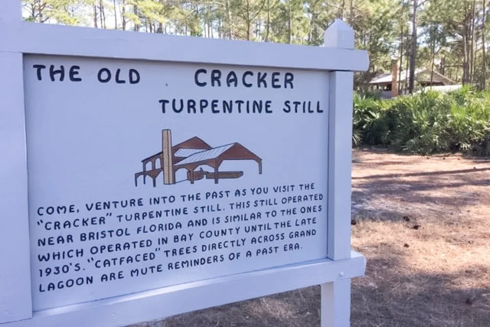 20260215-SASP Google Pics -9.jpg