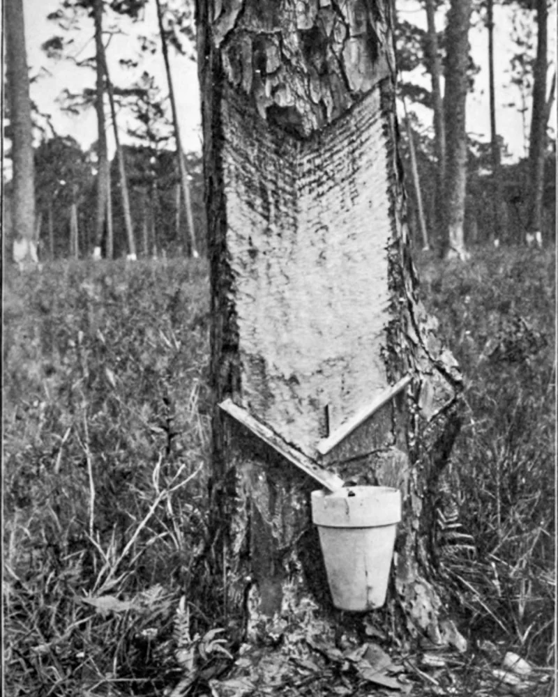 20260215-SASP Google Pics -7.jpg